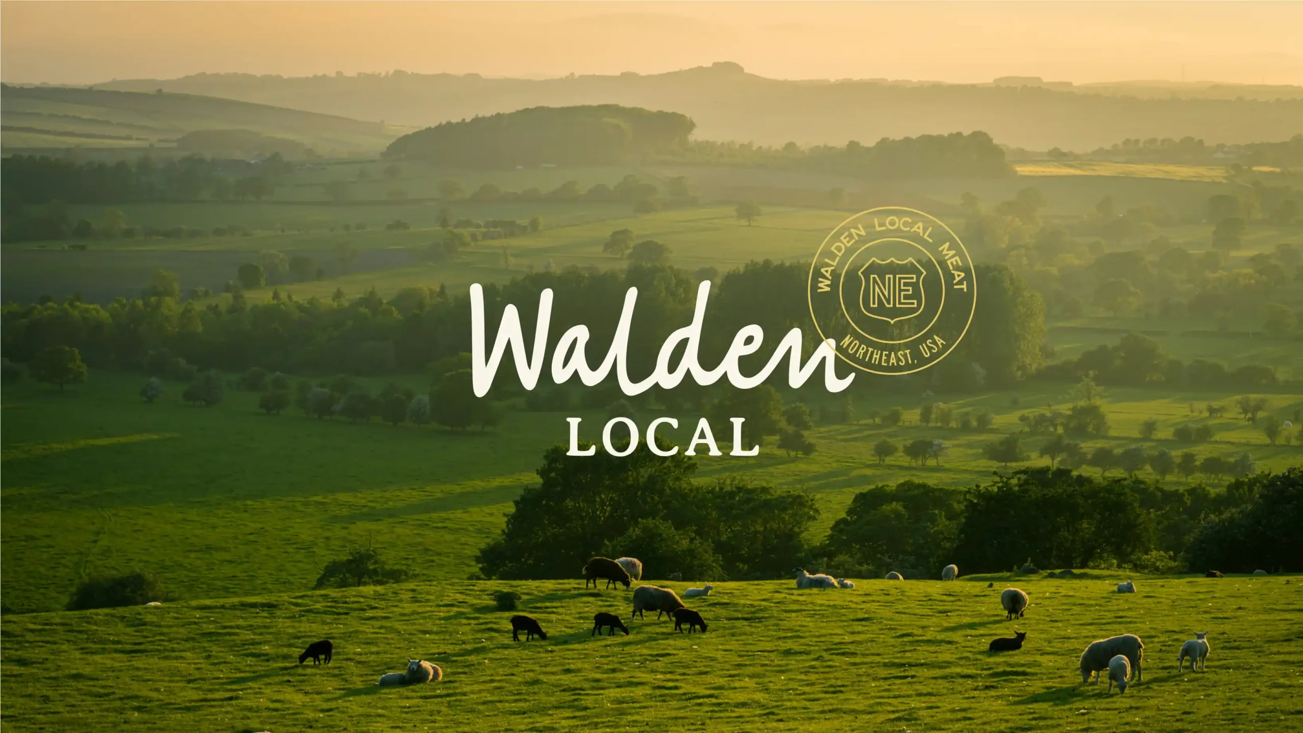 Pasture scene with sheep and rolling hills, featuring Walden Local logo for food & beverage branding.