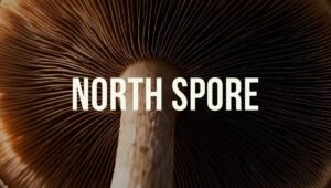Close-up of mushroom gills with the words “NORTH SPORE” in bold white letters over the image.