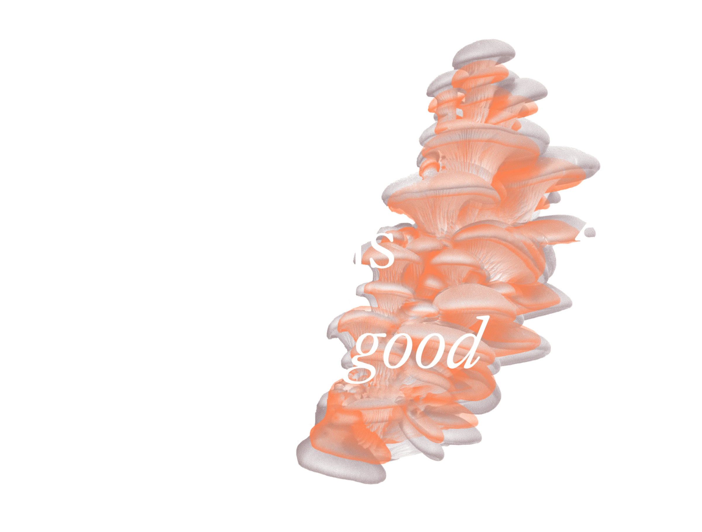 Text “Mushrooms for good” with overlapping translucent orange mushrooms on the right side and a small oval logo reading “MIRTIL” above the word “Mushrooms.”.