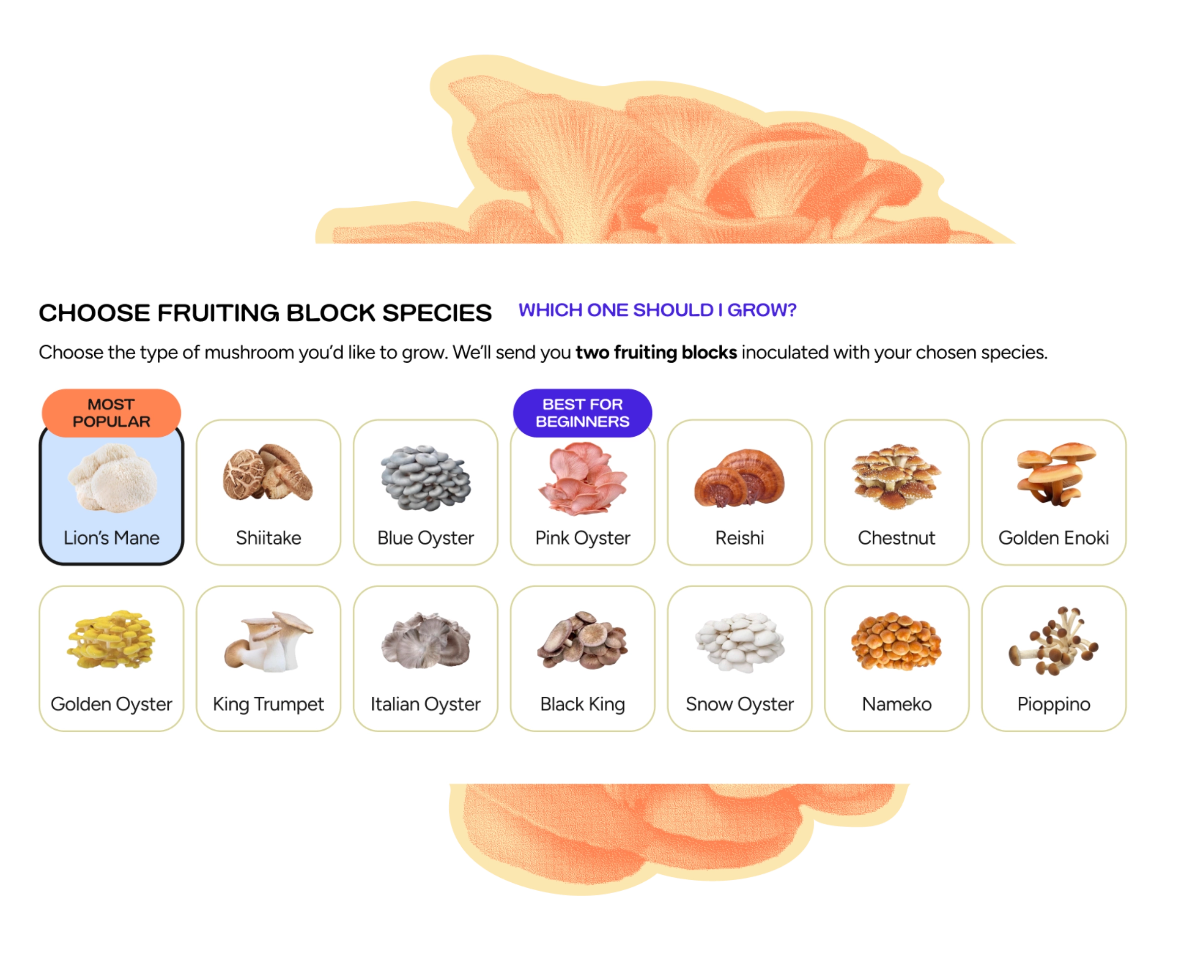 Chart showing 13 types of mushrooms to grow, including Lions Mane, Shiitake, Blue Oyster, Pink Oyster, and others, with icons and beginner recommendations. Orange mushroom in the background.