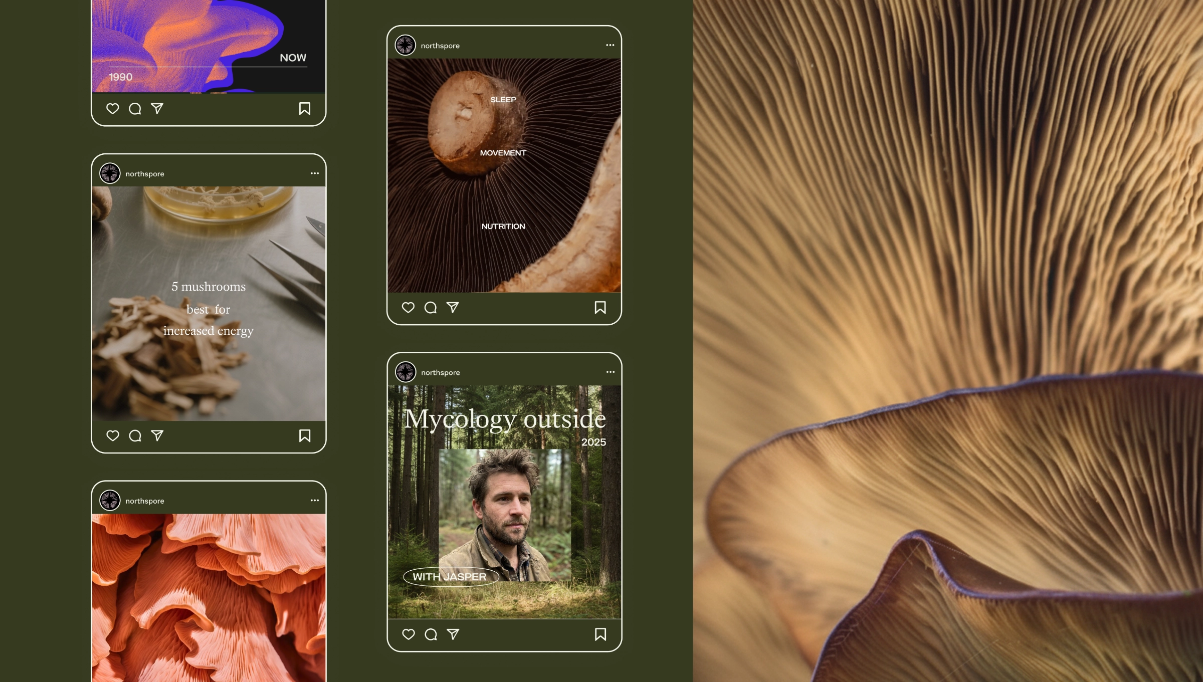 A collage of mushroom-themed social media posts, including close-ups of mushroom gills, a forest portrait, and text about mushrooms and mycology.