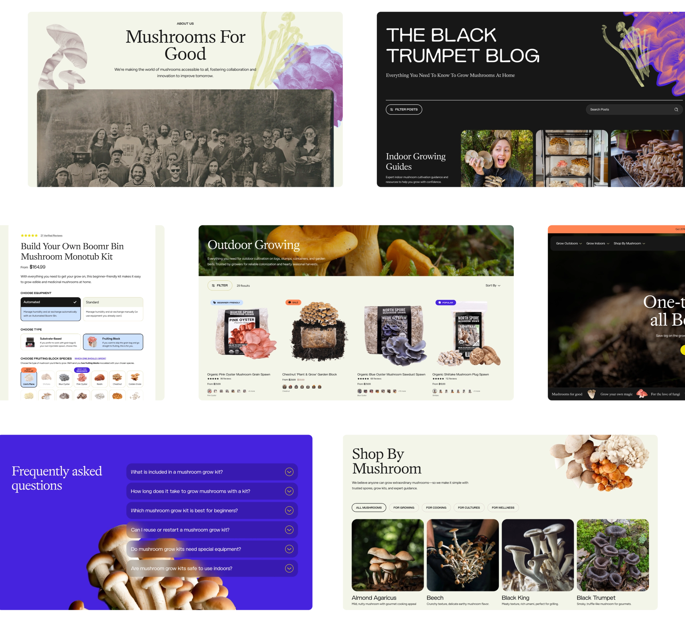 A collage of seven website screenshots about mushrooms, showing guides, blog posts, shopping options, FAQs, and mushroom images in various layouts and colors.
