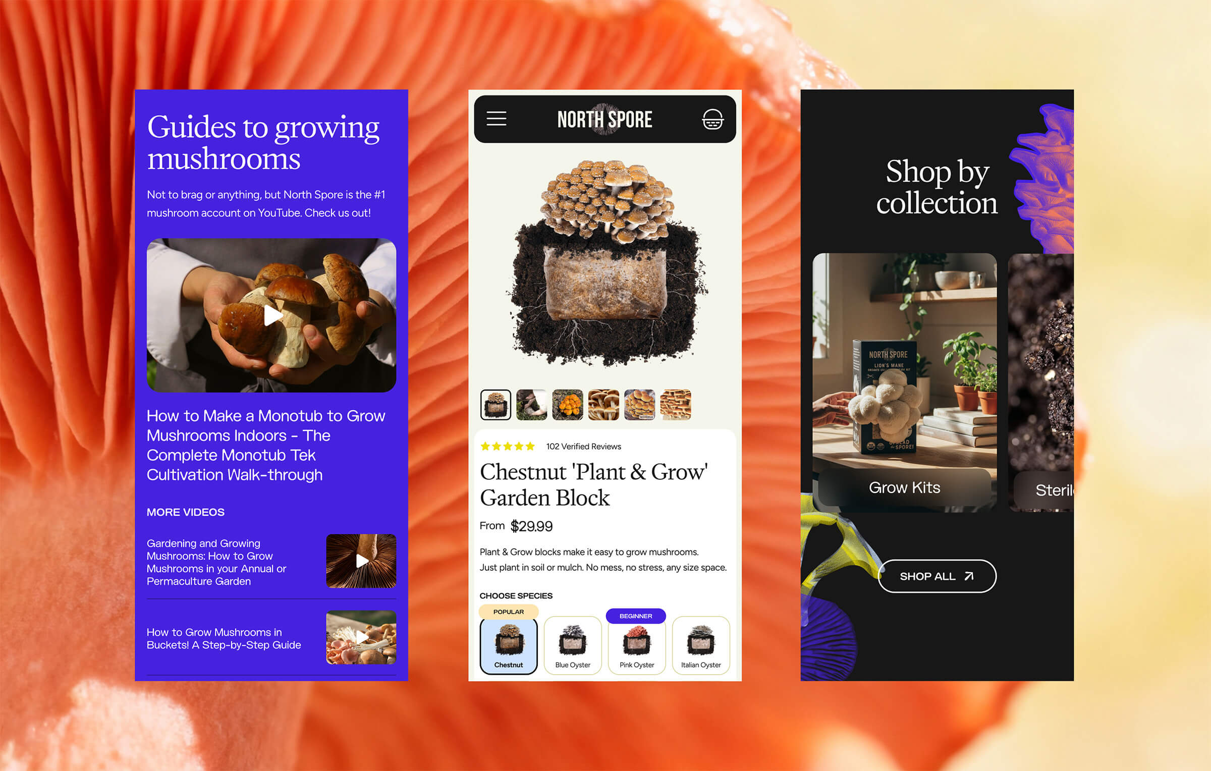 Three mobile screens show a mushroom-growing guide, a Chestnut mushroom growing kit for sale, and a shopping page with categories for grow kits and collections.